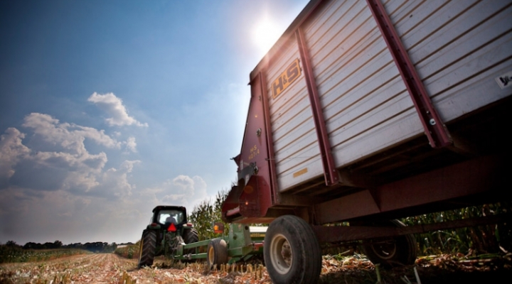 Tractor working the field