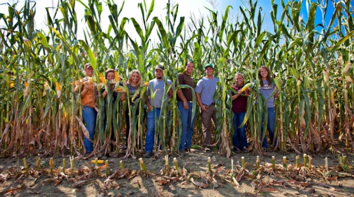 Students posing between stalks of corn