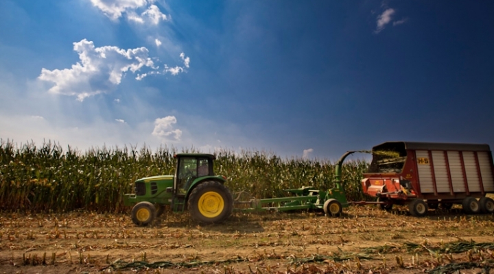 Tractor working the field