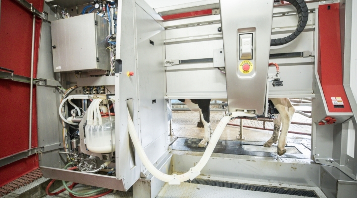 Robotic Milking Facility