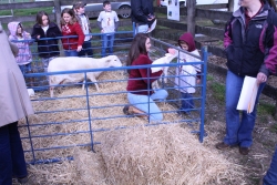 Petting area for the 'Day at the Farm' event