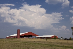 Photo of Stateland Dairy at Meadowbrook Farm