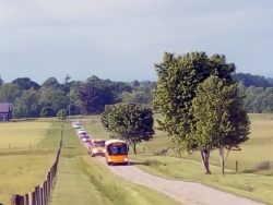 School buses arrive from Glenn Marhsall Elementary with excited school children.