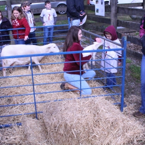 Petting area for the 'Day at the Farm' event