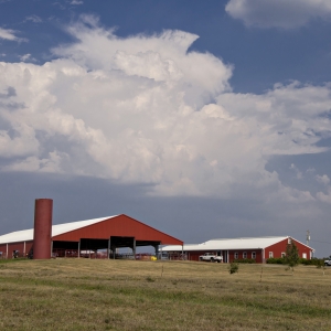 Photo of Stateland Dairy at Meadowbrook Farm