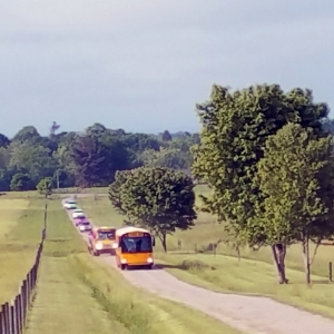 School buses arrive from Glenn Marhsall Elementary with excited school children.