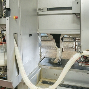 Robotic Milking Facility