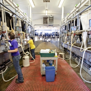 Stateland Dairy file photo